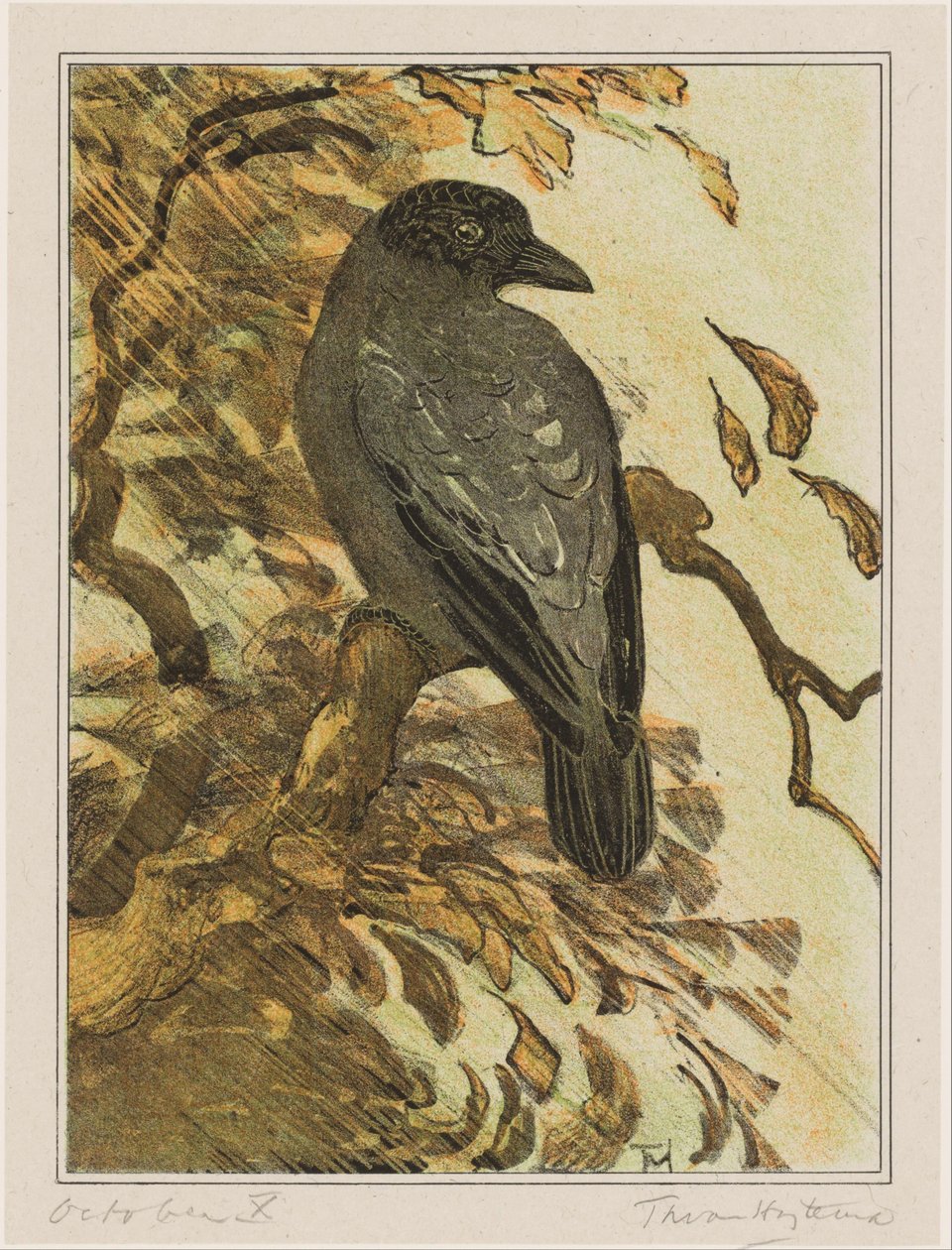 Pied kråke på gren av Theo van Hoytema (signed by artist)