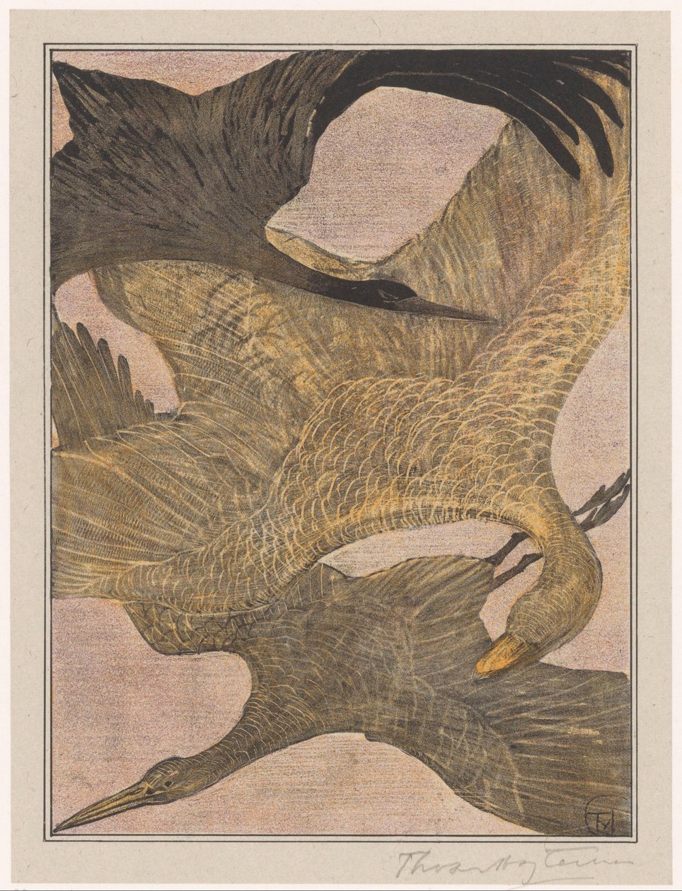 Tre flygende fugler av Theo van Hoytema (signed by artist)