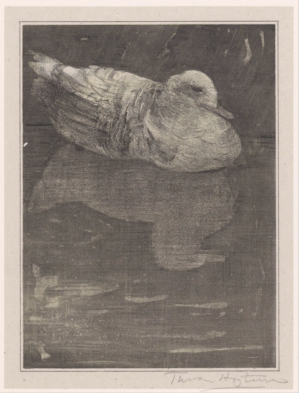 flytende and av Theo van Hoytema (signed by artist)