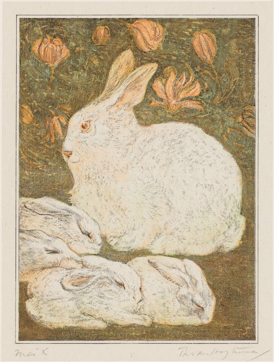 Kaniner av Theo van Hoytema (signed by artist)