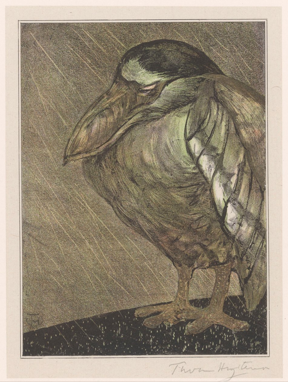Båthegre i regnet av Theo van Hoytema (signed by artist)