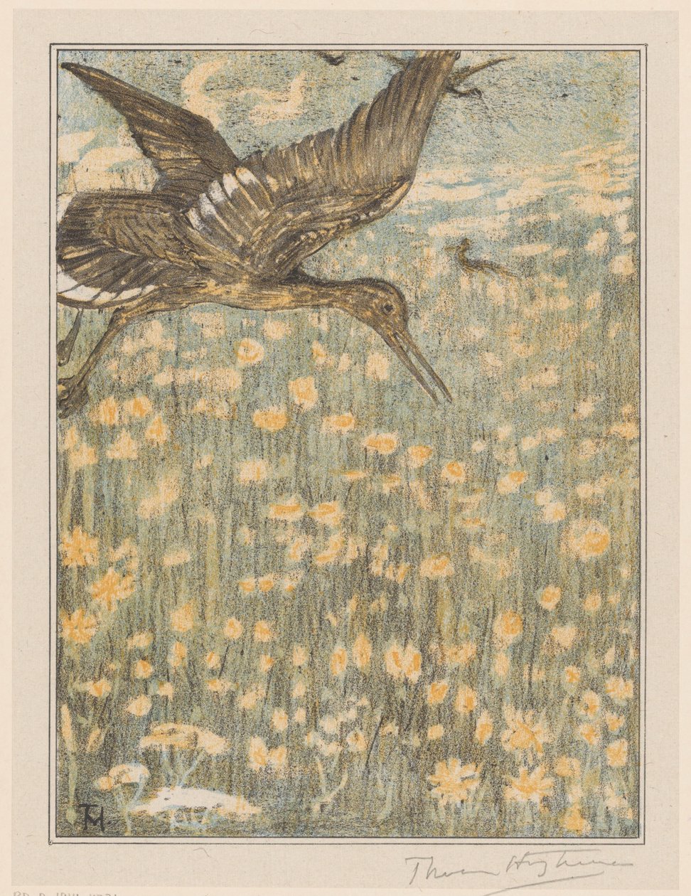 rødbenk av Theo van Hoytema (signed by artist)