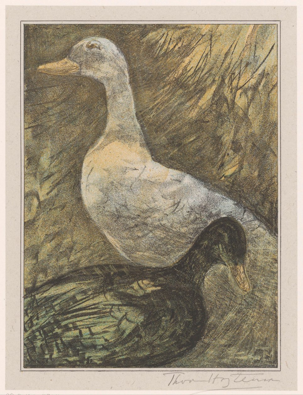 To stående ender av Theo van Hoytema (signed by artist)