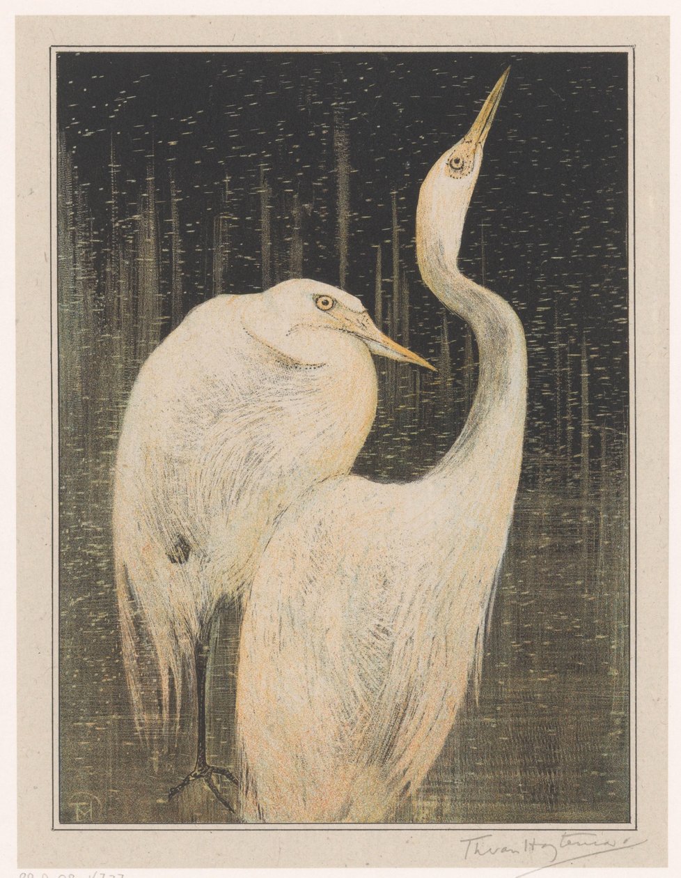 To egrets av Theo van Hoytema (signed by artist)