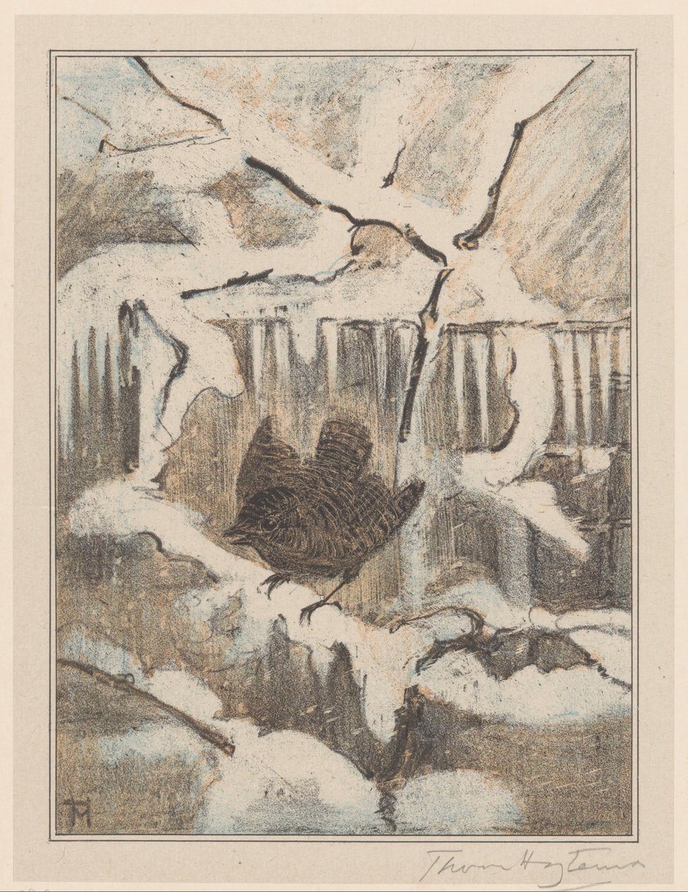 Wren på snødekt gren av Theo van Hoytema (signed by artist)