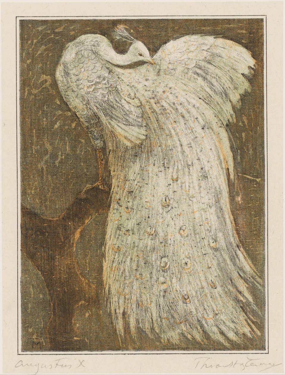 Hvit påfugl på gren av Theo van Hoytema (signed by artist)