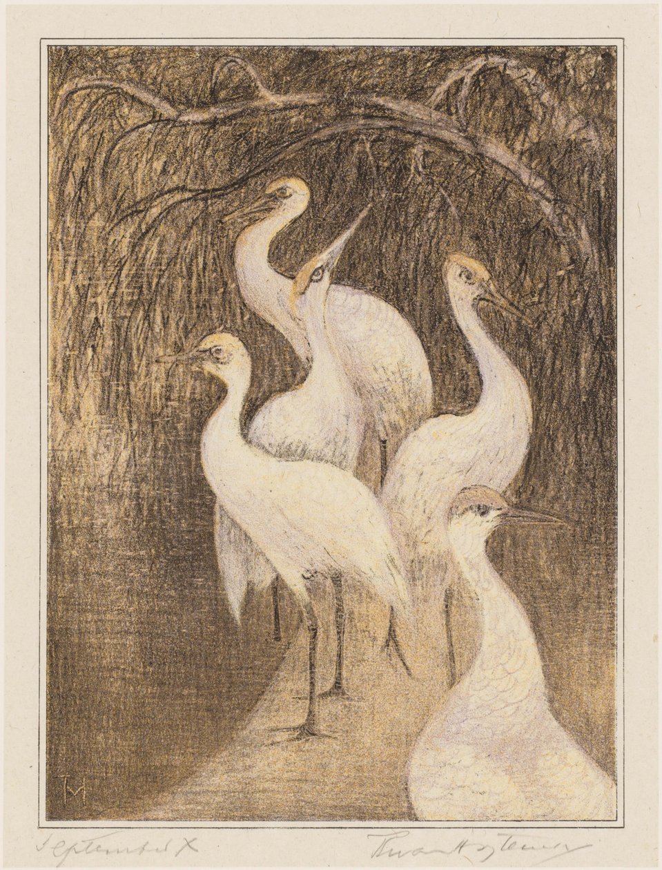 Seks kraner ved vannkanten av Theo van Hoytema (signed by artist)