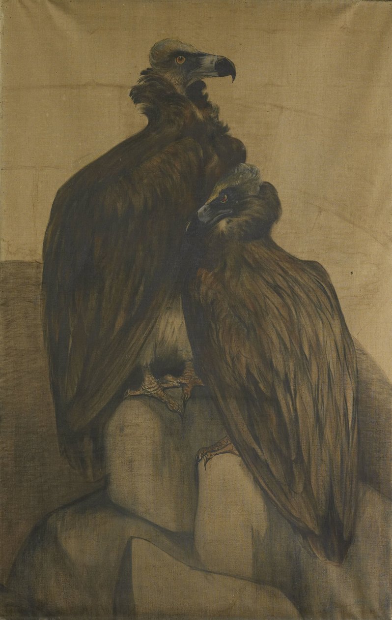 To arabiske gribber av Theo van Hoytema