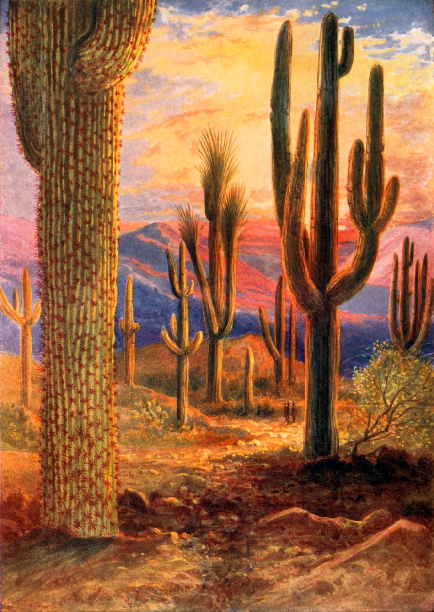 Ørkenens seierherre (fargelitografi) av Theobald Carreras