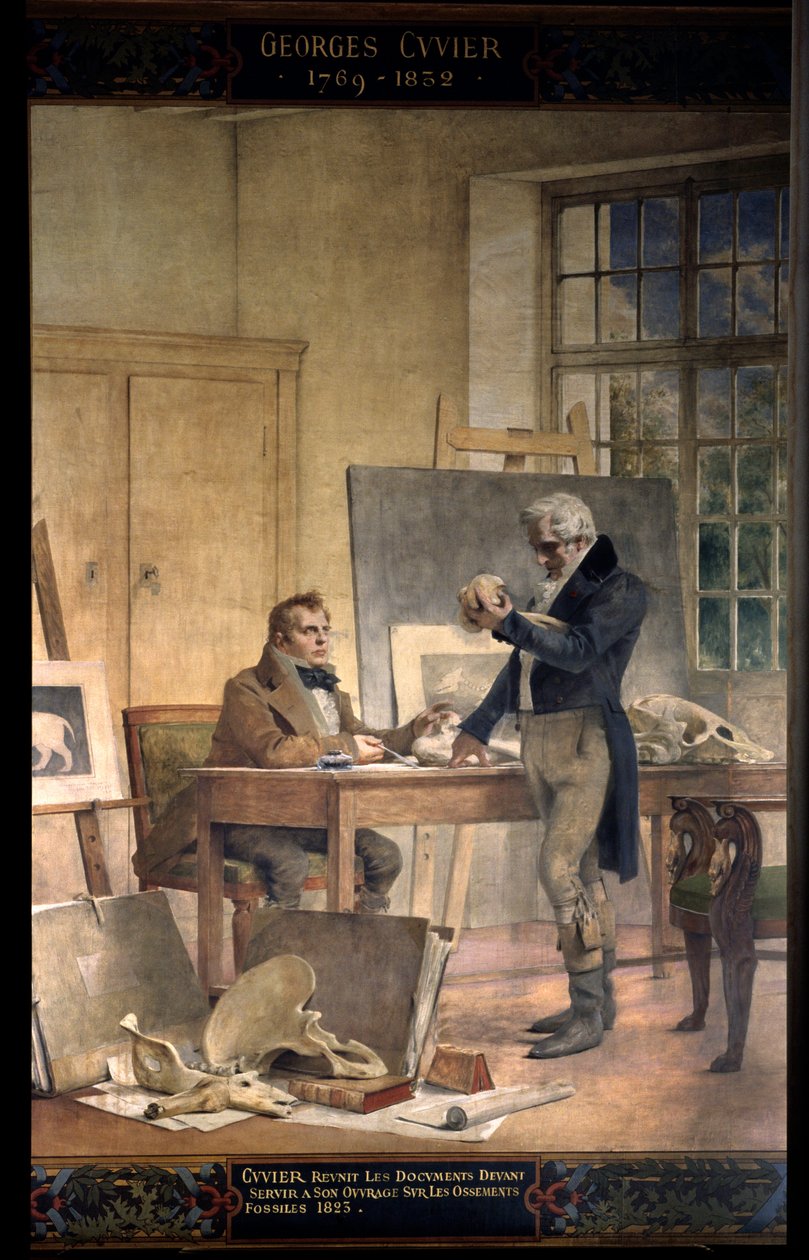 Paleontologi: "" Baron Georges Cuvier (1769-1832) gjenforener dokumentene for sitt arbeid med fossile bein"" Fresco av Theobal Chartran (1849-1907). Paris-universitetet i Sorbonne av Theobald Chartran