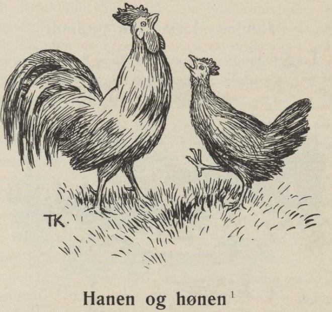 Hanen og hnenThe Cock and Hen av Theodor Kittelsen