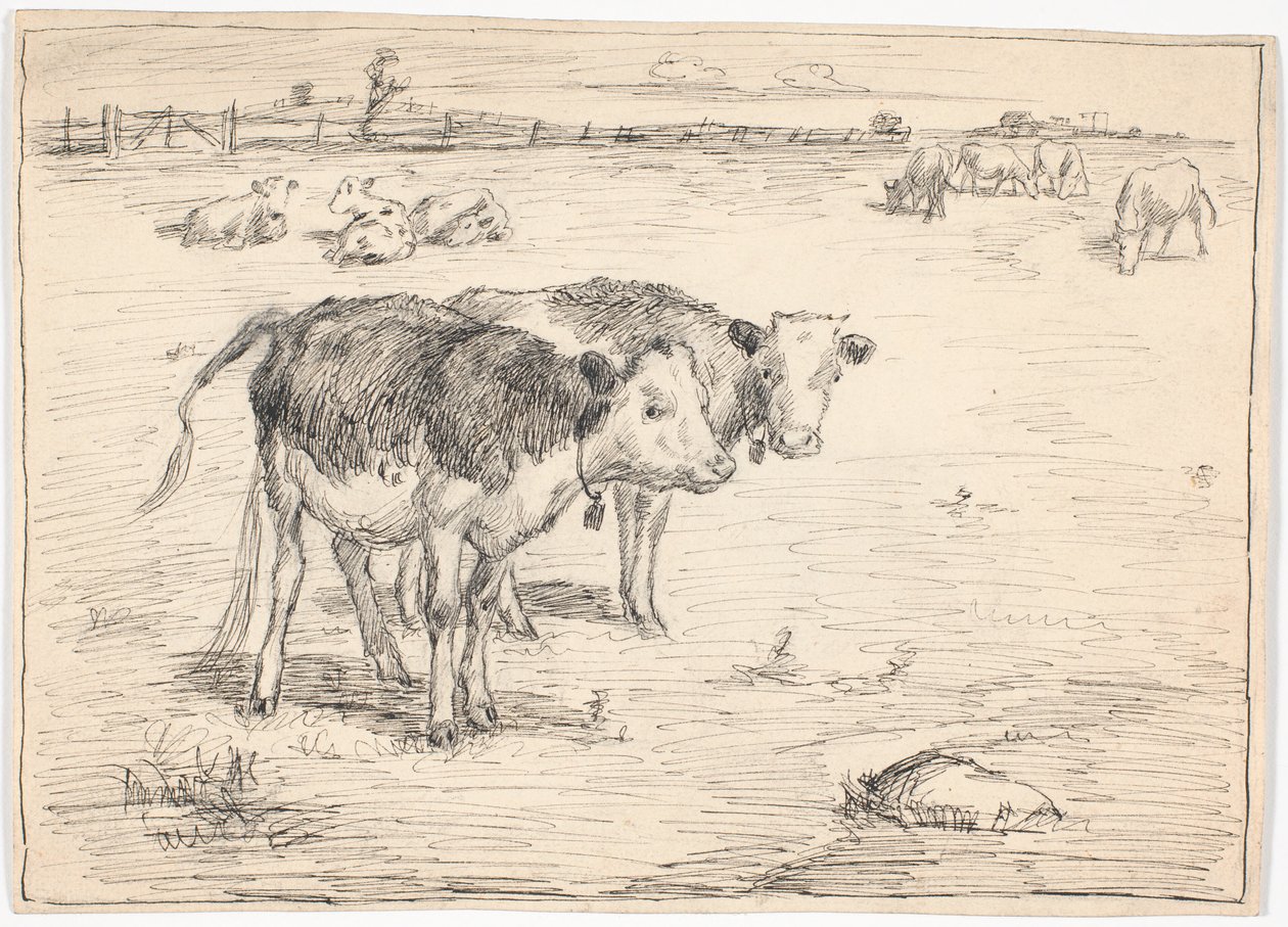 Et par kalver på "Fladen", Saltholm av Theodor Philipsen