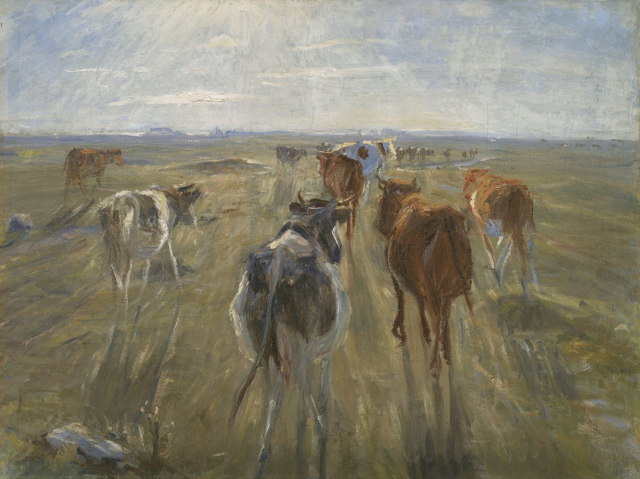 Lange skygger. Storfe på øya Saltholm, ca. 1890 av Theodor Philipsen