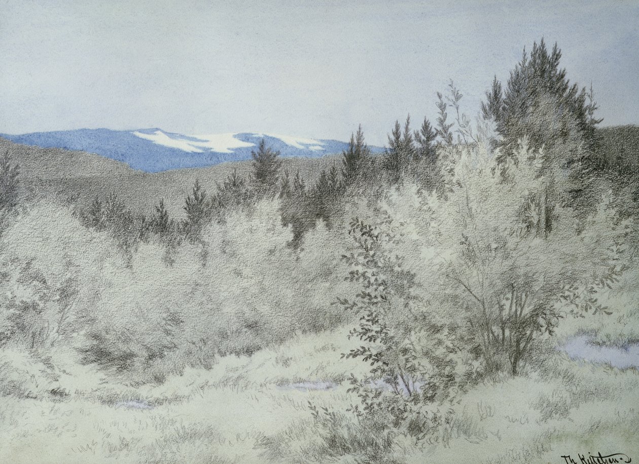 Langt langt borte i skogen av Theodor Kittelsen