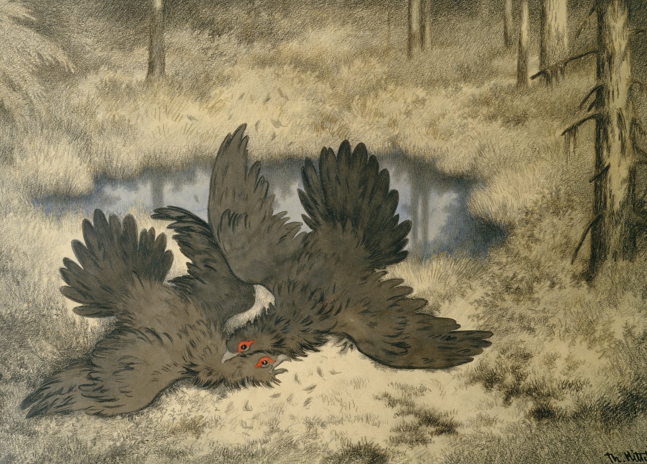 Trollfuglen kjemper der inne av Theodor Kittelsen