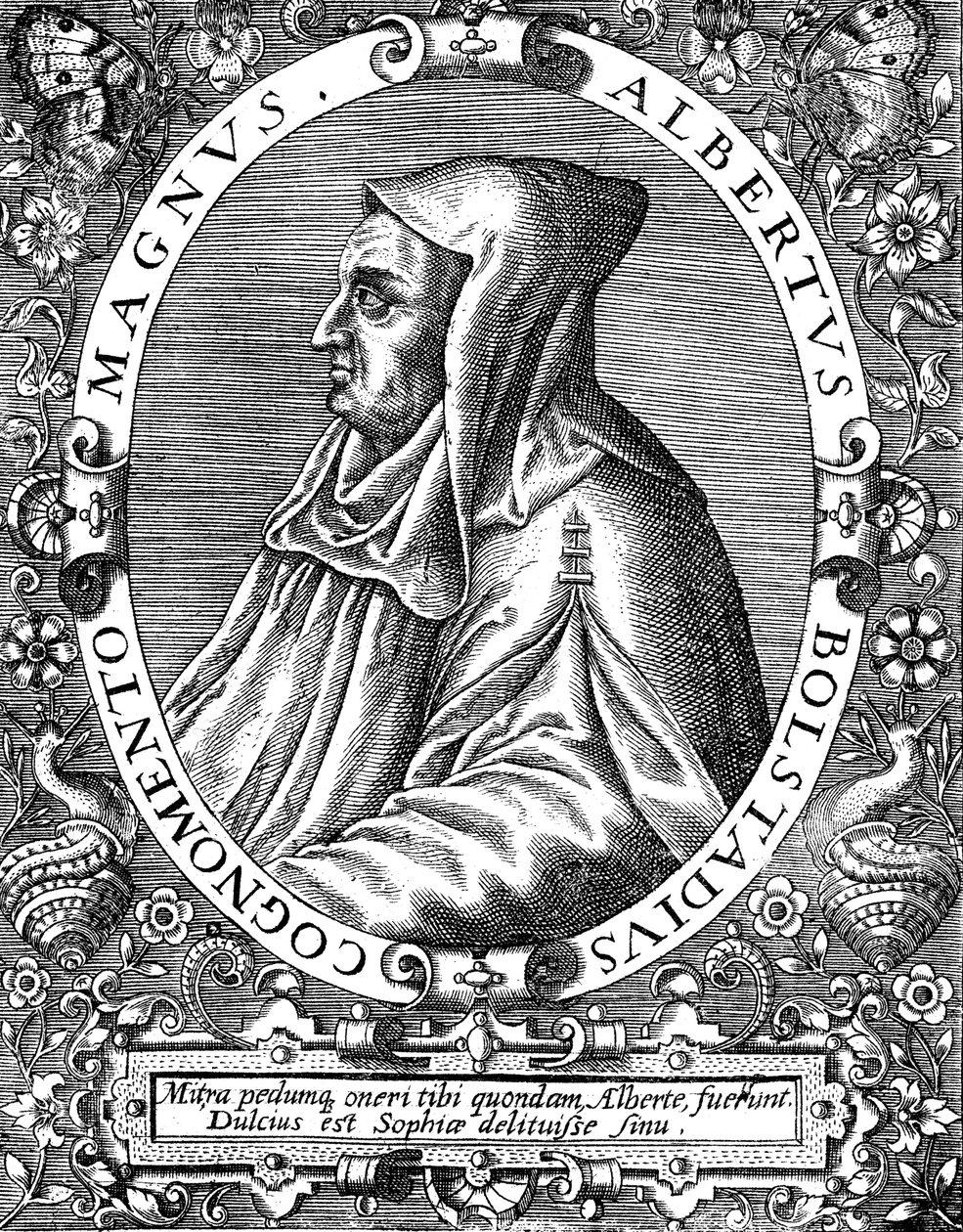 Albertus Magnus c1200-1280 tyskfødt dominikansk munk, sent på 1500-tallet av Theodor de Bry