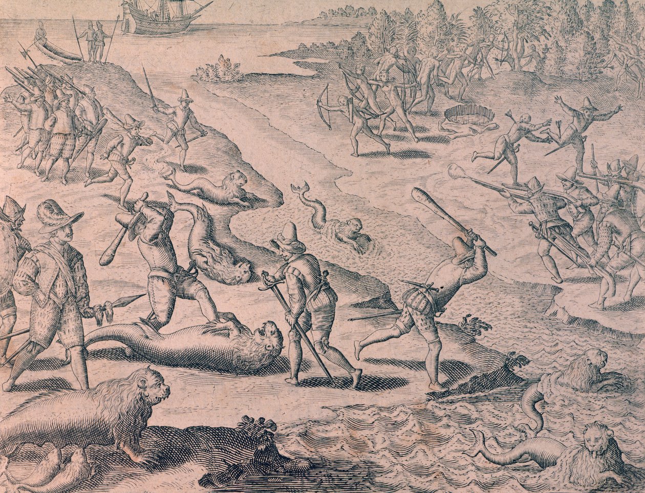 Slakting av sjøløver av oppdagere av Theodor de Bry