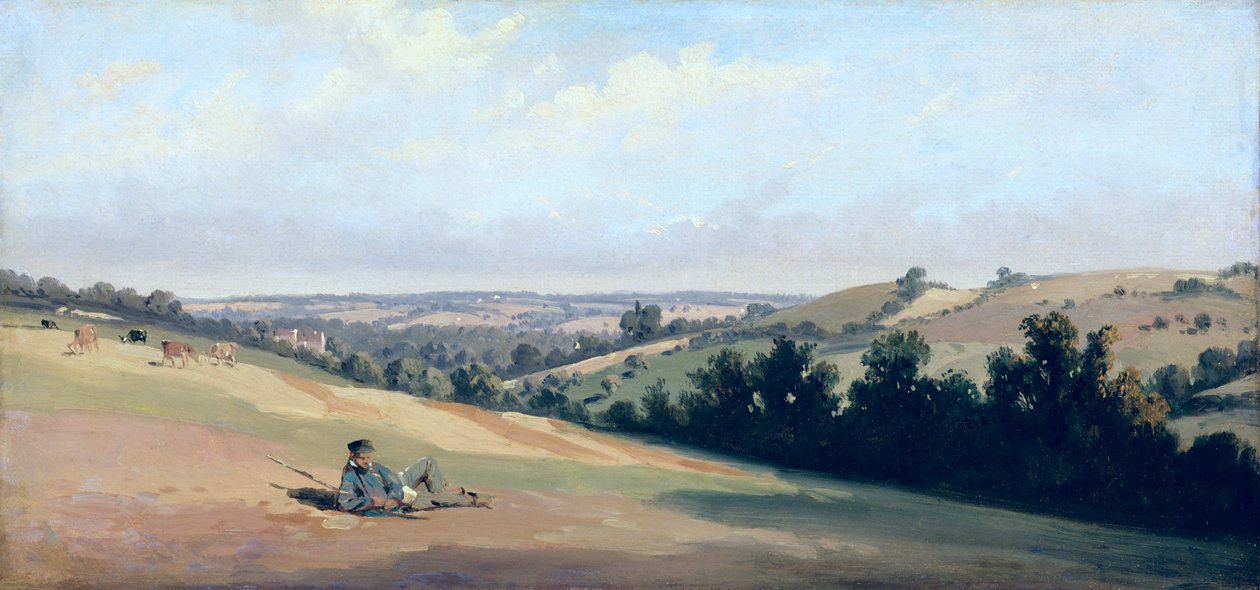 Young Man Reclining on the Downs, ca. 1833-35 (olje på papir) av Theodore Caruelle d Aligny