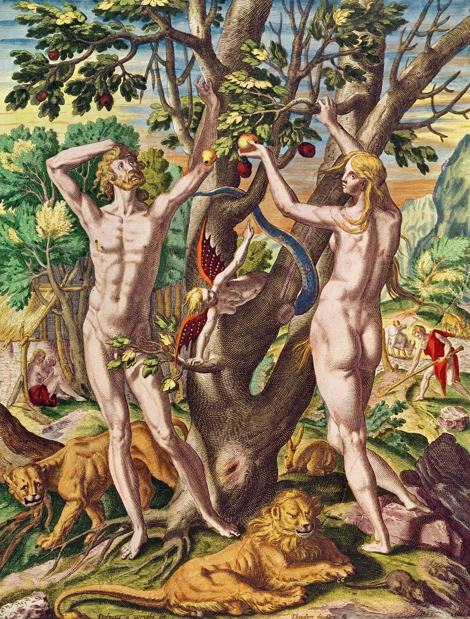 Admiranta Narratio.... Adam og Eva (side 40), 1585-1588 (fargegravering) av Theodore de Bry