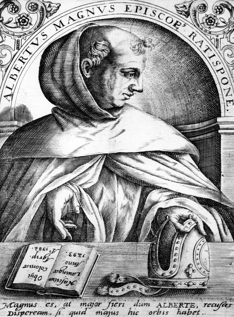 Albertus Magnus, illustrasjon fra 