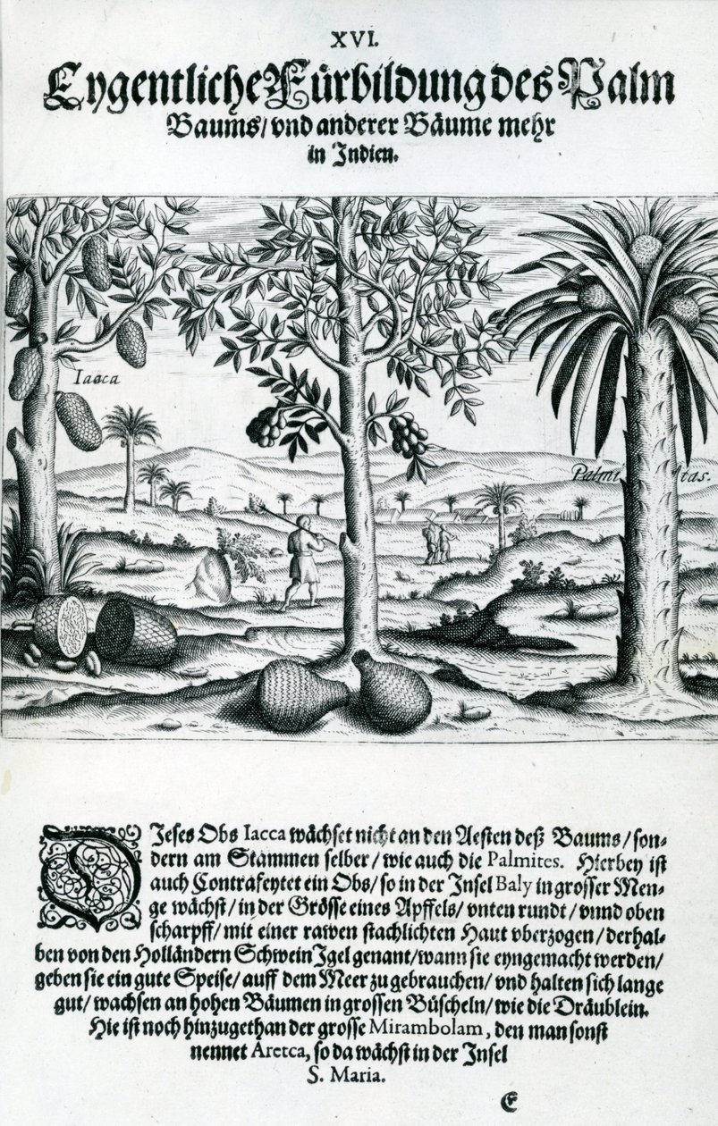 Landskap, illustrasjon fra 