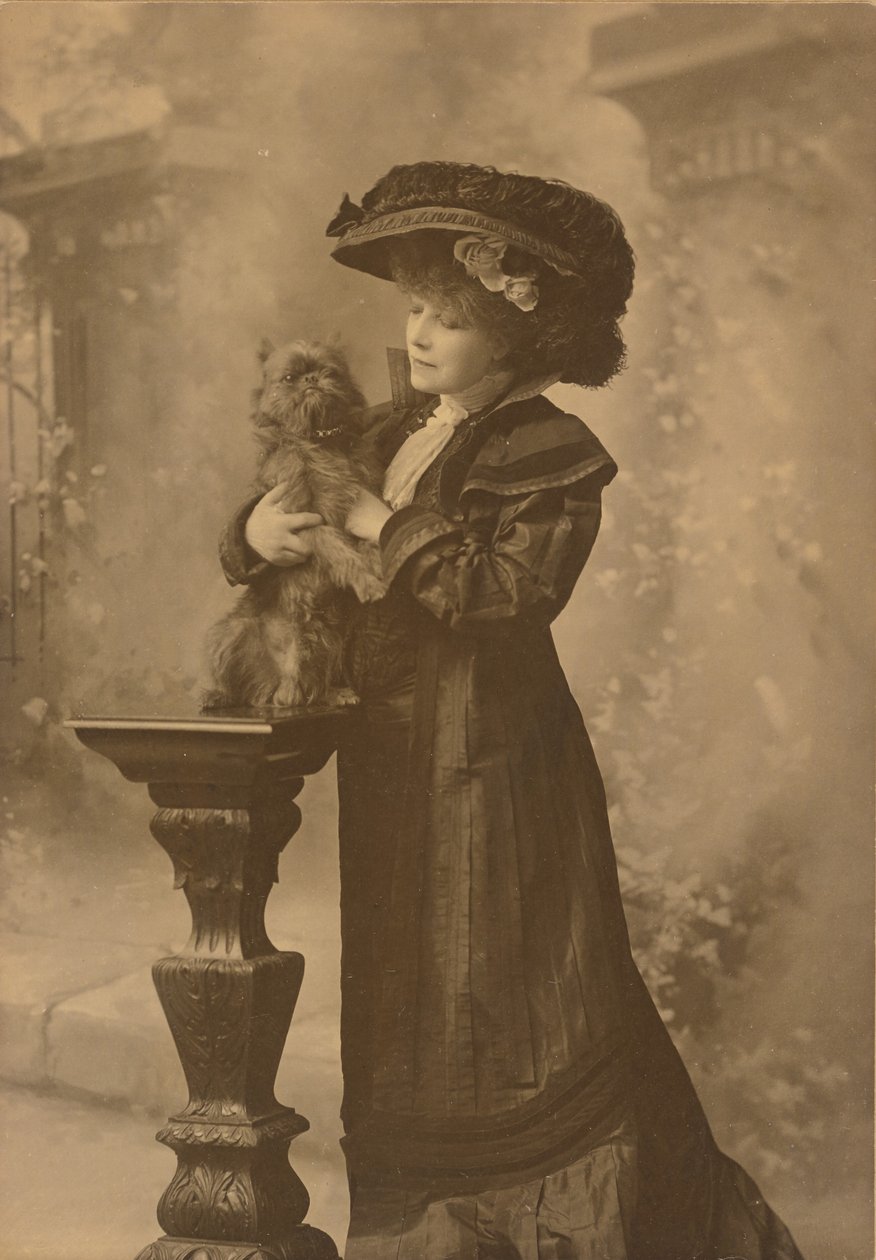  av Theodore C. Marceau