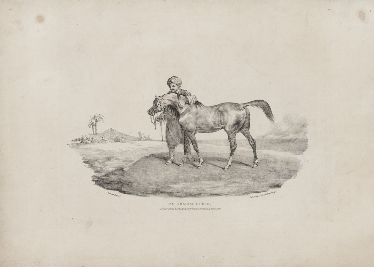 En arabisk hest av Theodore Gericault