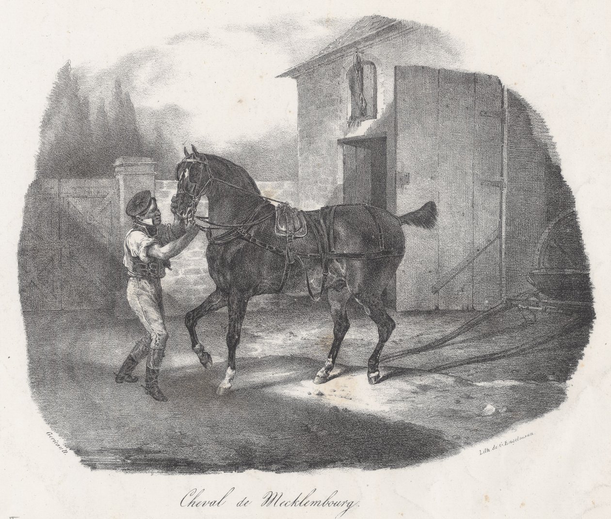 Mecklenburg-hest (A Mecklembourg Horse) av Theodore Gericault
