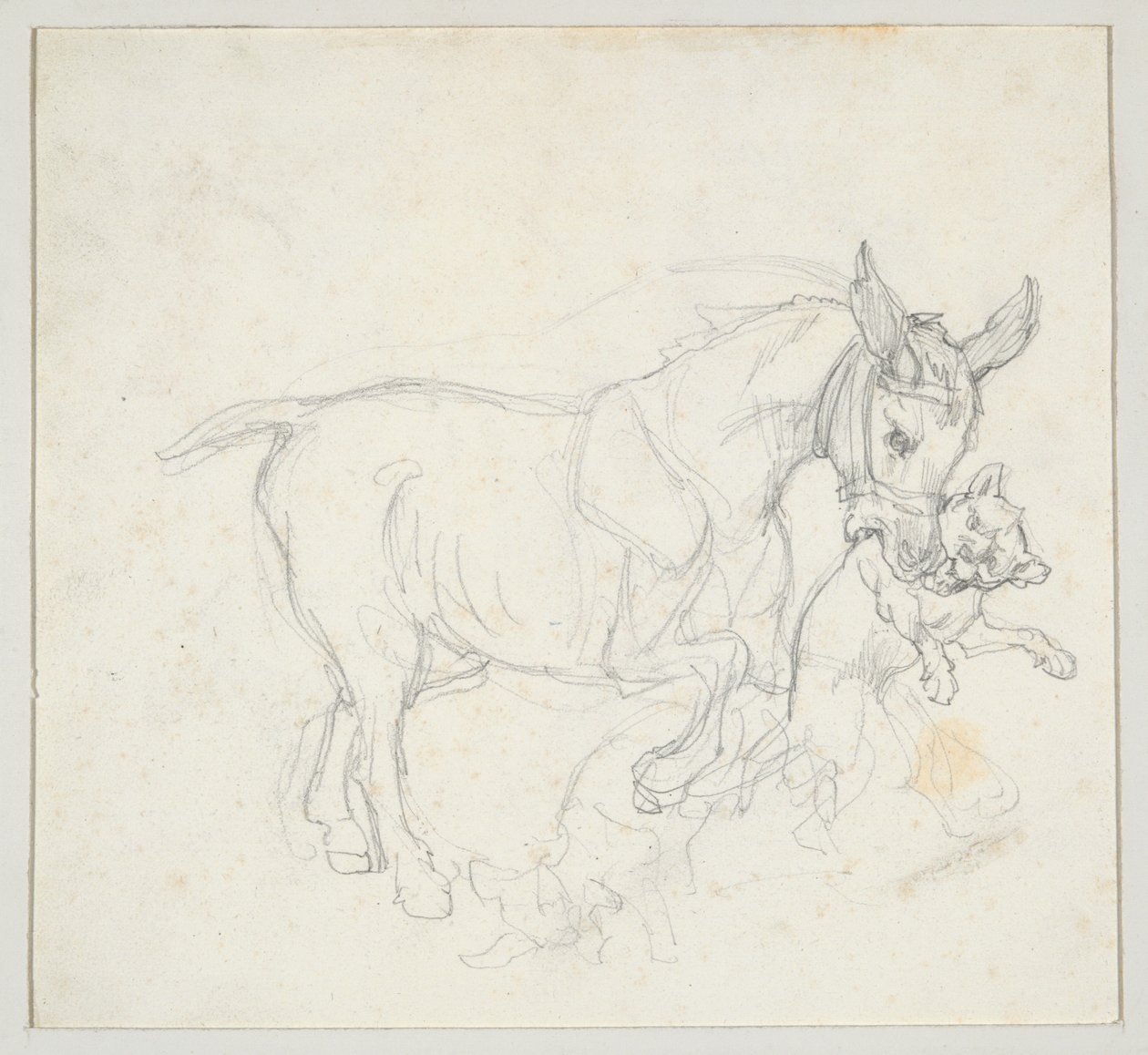 Esel som holder en hund i munnen (forsiden); Studie av hjort som jages av hunder, hjortehode (baksiden) av Theodore Gericault