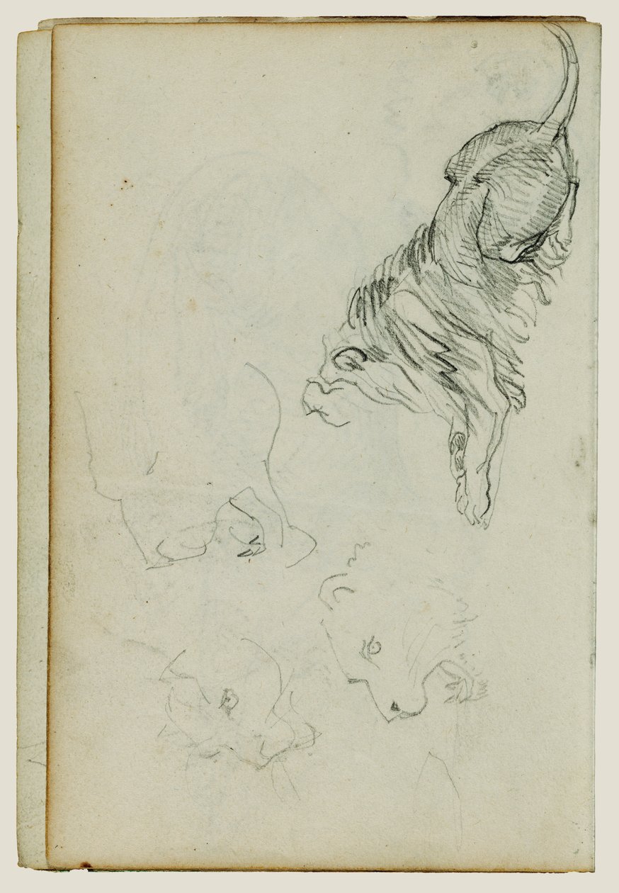  av Theodore Gericault