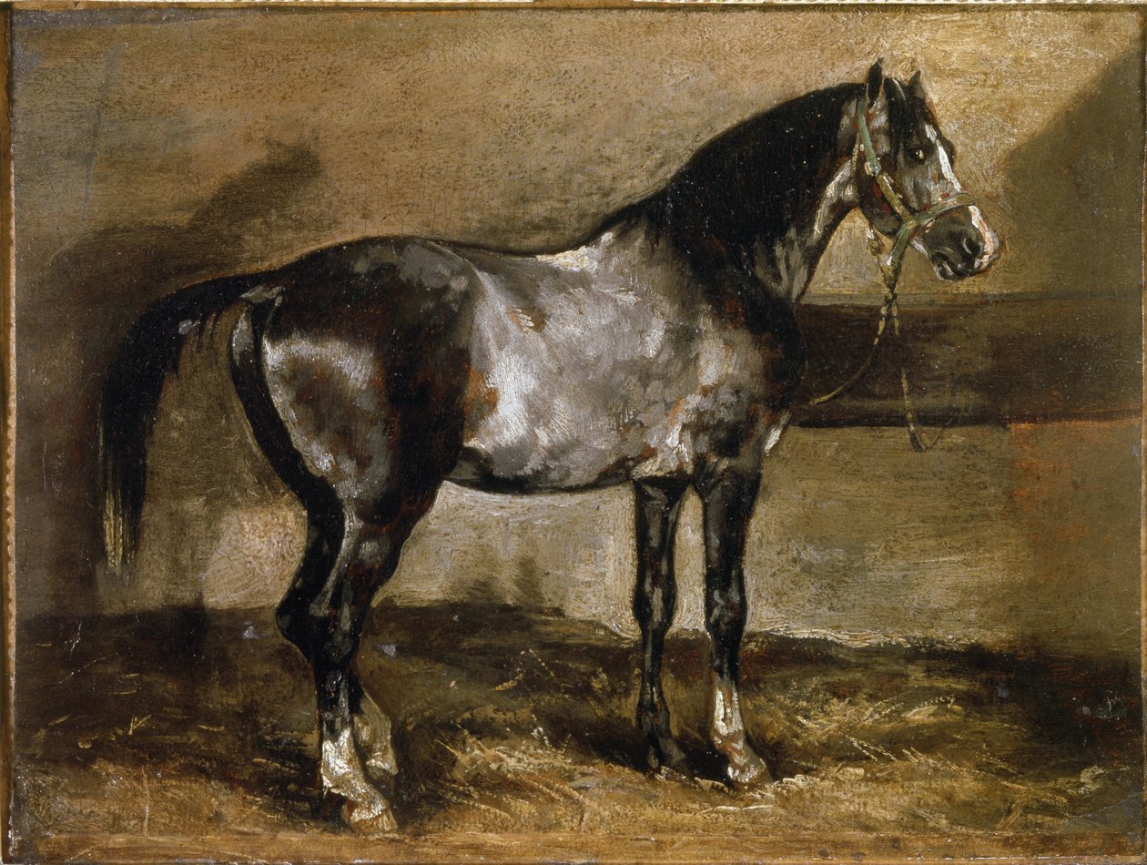 Grey Horse at the Ratelier - olje på lerret av Theodore Gericault