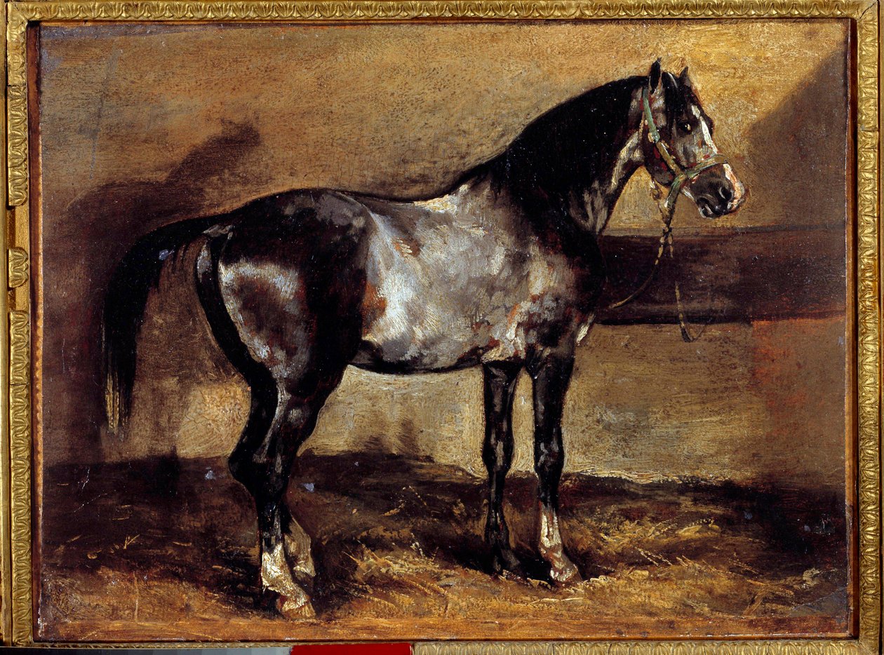 Grey Horse at the Ratelier Maleri av Theodore Gericault (1791-1824) 1800-tallets søn. 0,26x0,34 m av Theodore Gericault