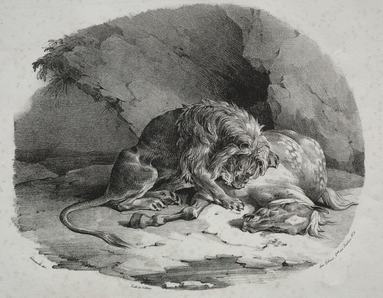 Hest fortært av en løve, 1823. av Theodore Gericault