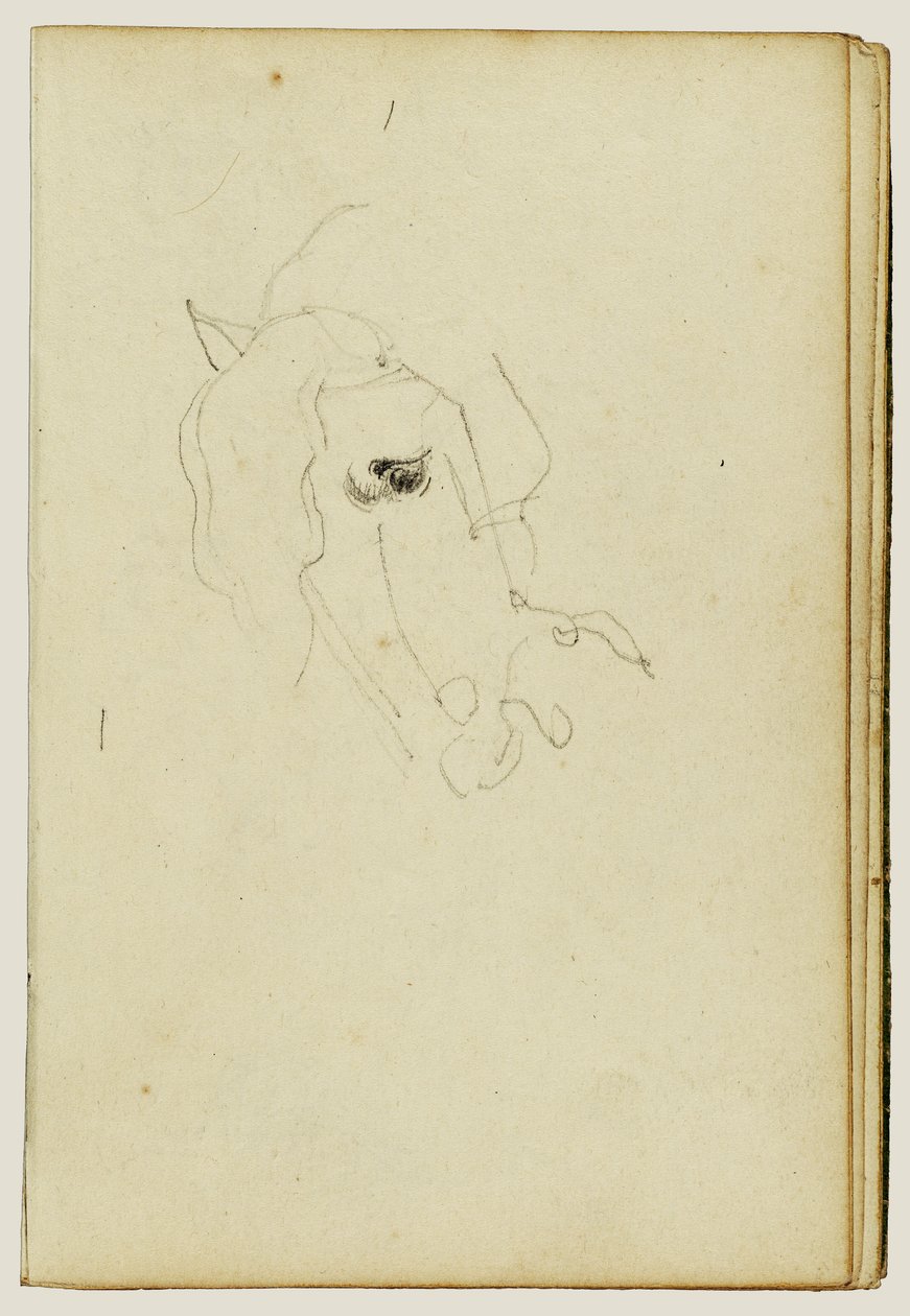 Hestehode av Theodore Gericault