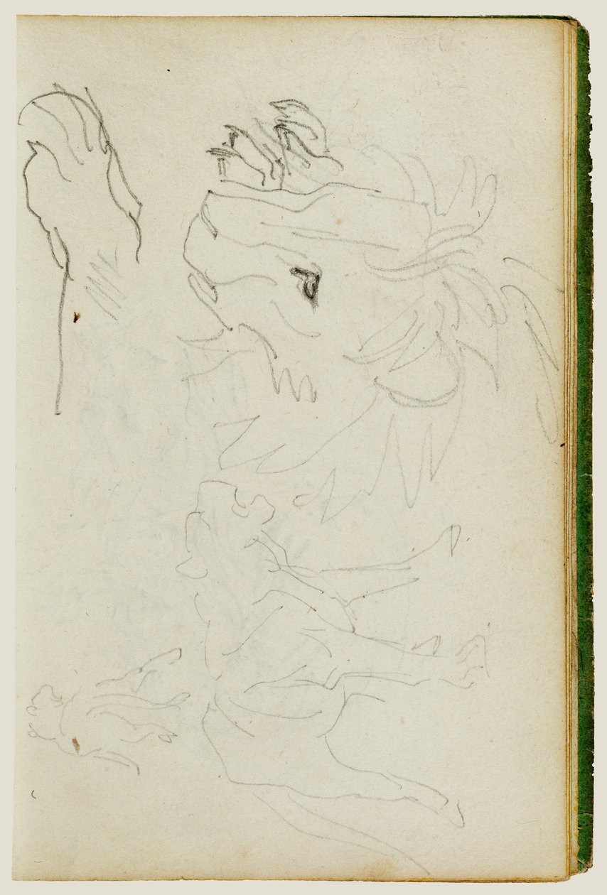 Studier av løver av Theodore Gericault