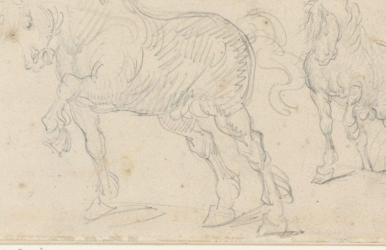 Hestestudier av Theodore Gericault