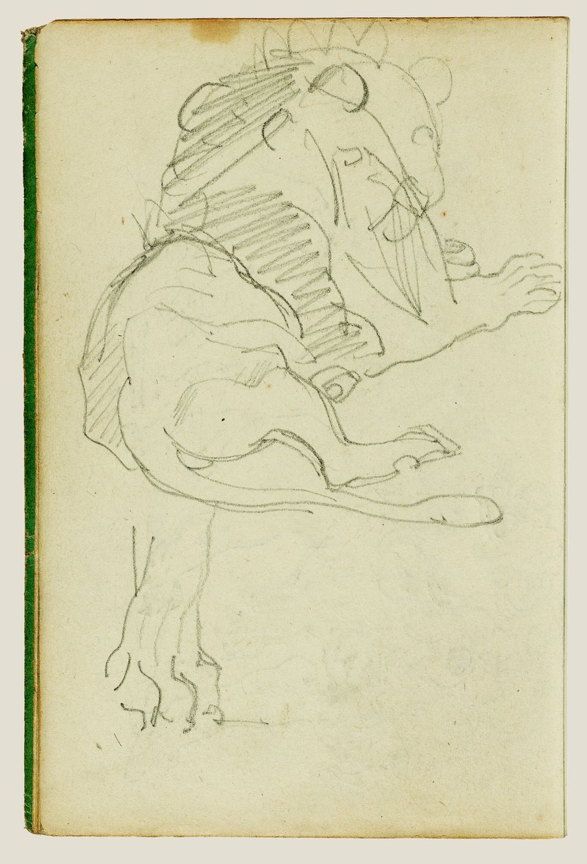 Sittende løve av Theodore Gericault