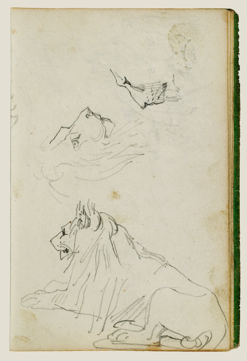 Sittende løve, to studier av løvehode av Theodore Gericault