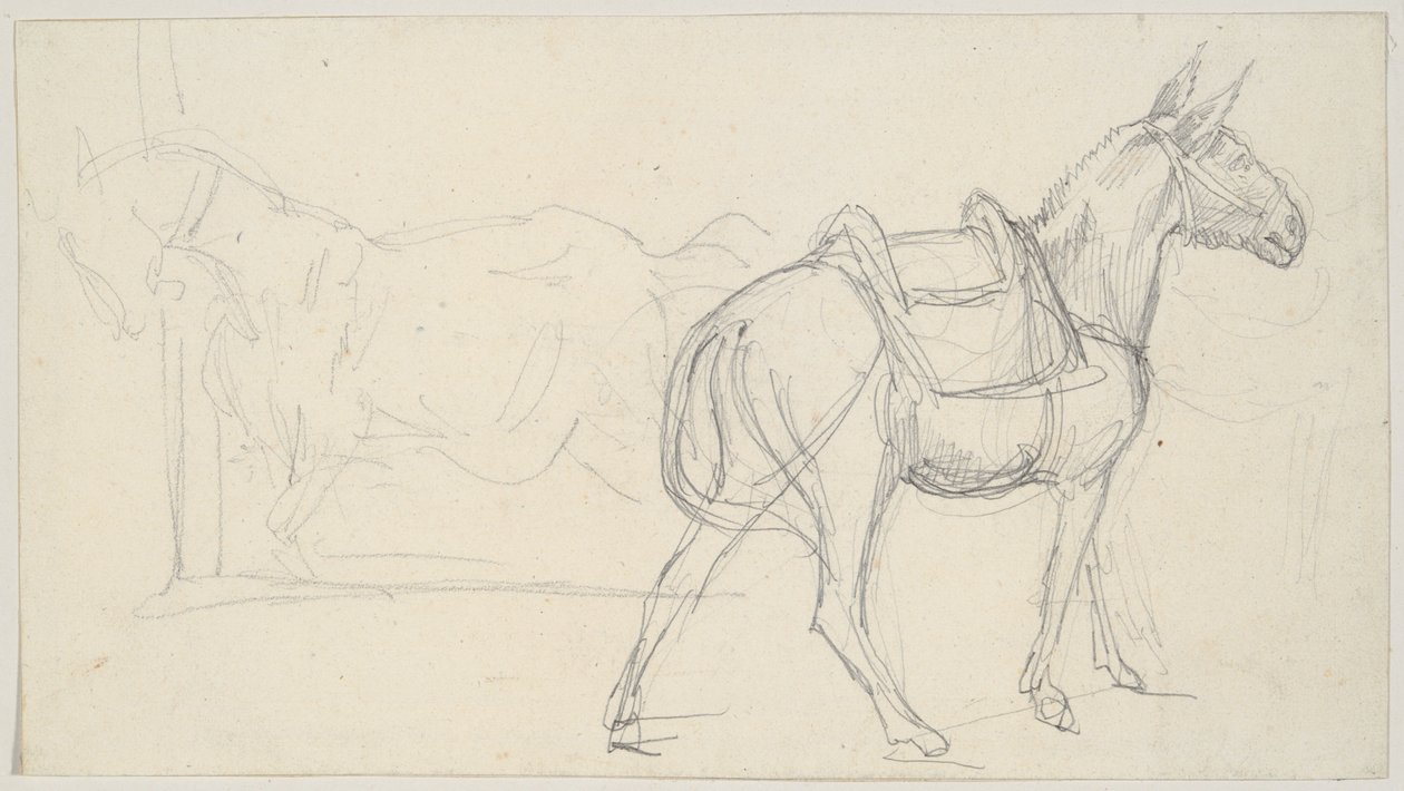 Skisse av en hest av Theodore Gericault