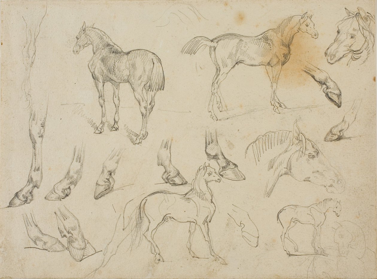  av Theodore Gericault