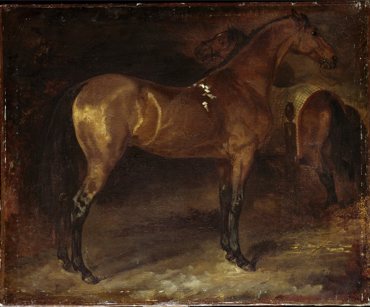 Spansk hest - olje på lerret av Theodore Gericault