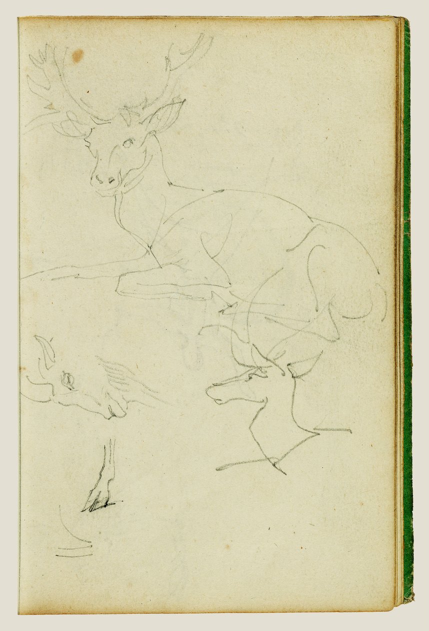 Studier av en sittende hjort, et hjortekalv og et geitehode av Theodore Gericault