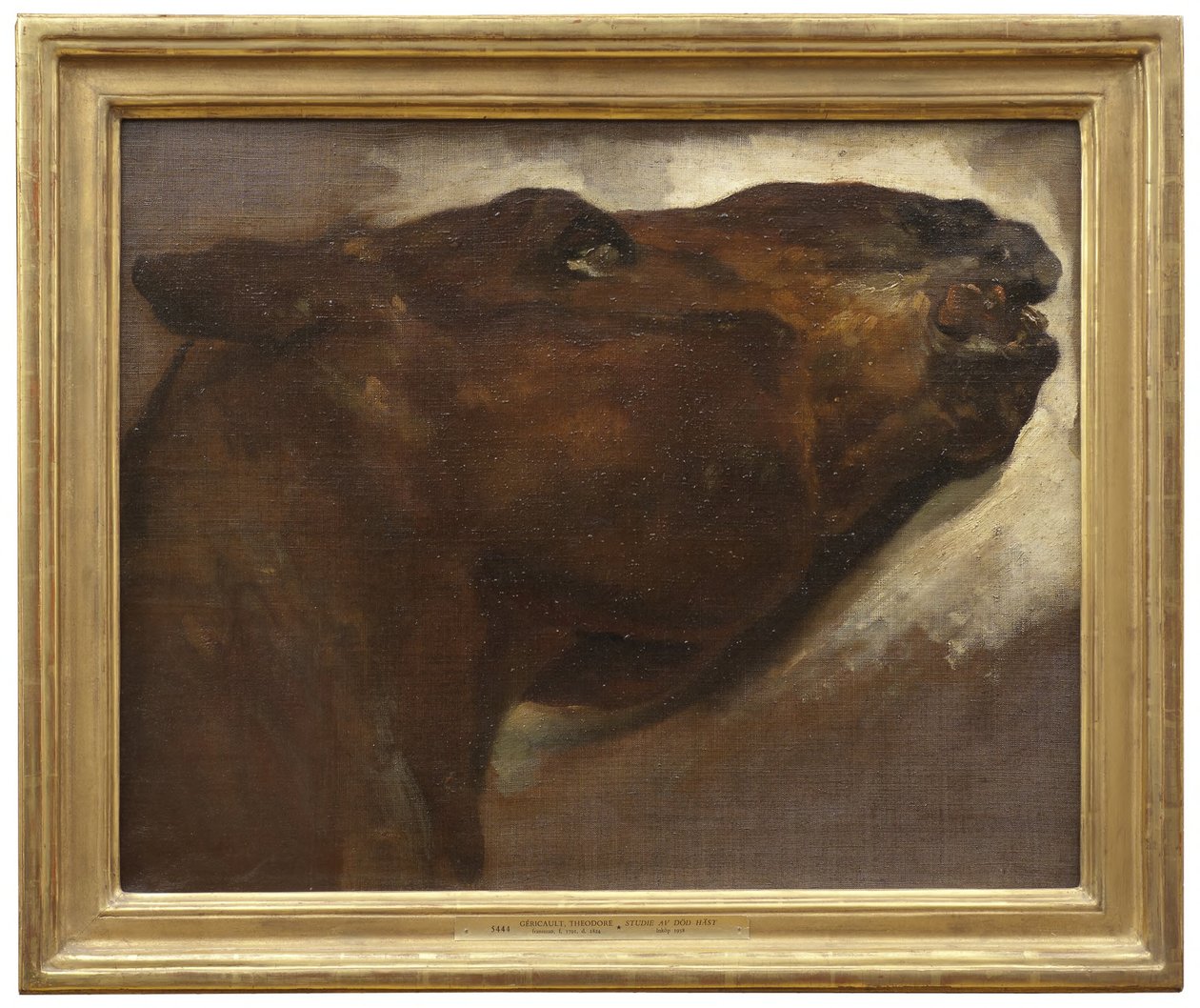 Studie av en død hest av Theodore Gericault
