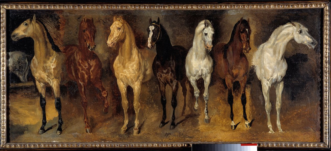 Brystene Sju hester forfra. Maleri av Theodore Gericault (1791-1824) 1800-tallets søn. 0,39x0,94 m Privat samling - Sju hestekister (sett forfra). Maleri av Theodore Gericault (1791-1824) av Theodore Gericault
