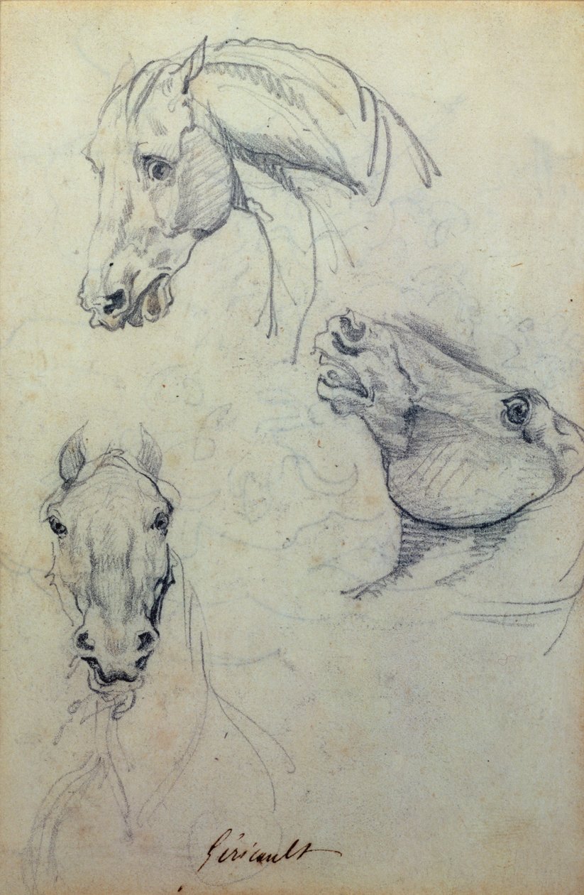 Tre hestehoder (blyant) av Theodore Gericault