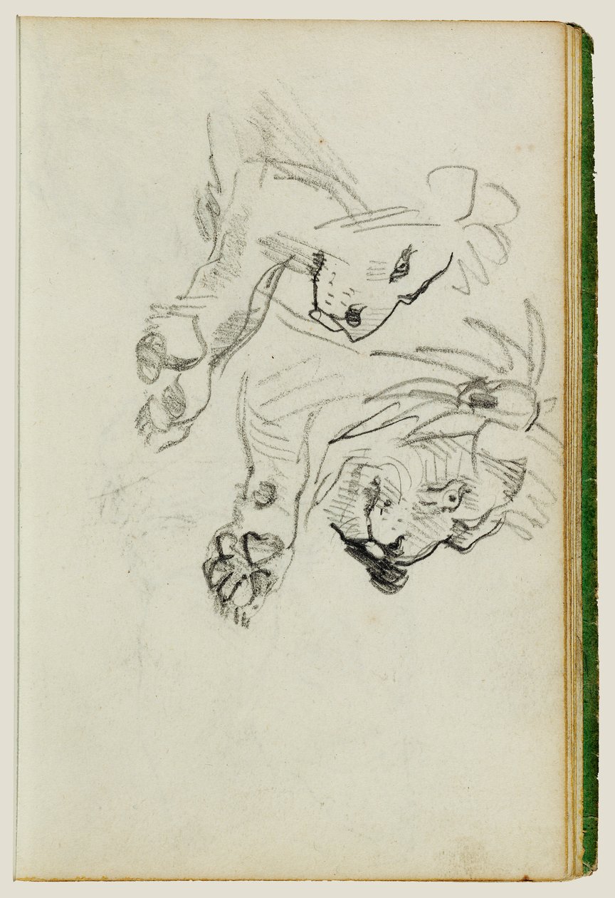 To studier av løver av Theodore Gericault