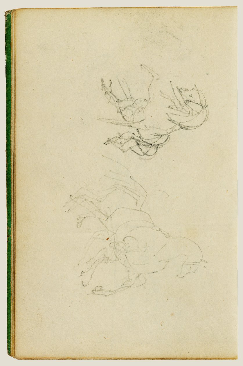 To studier av en oppdrettshest av Theodore Gericault