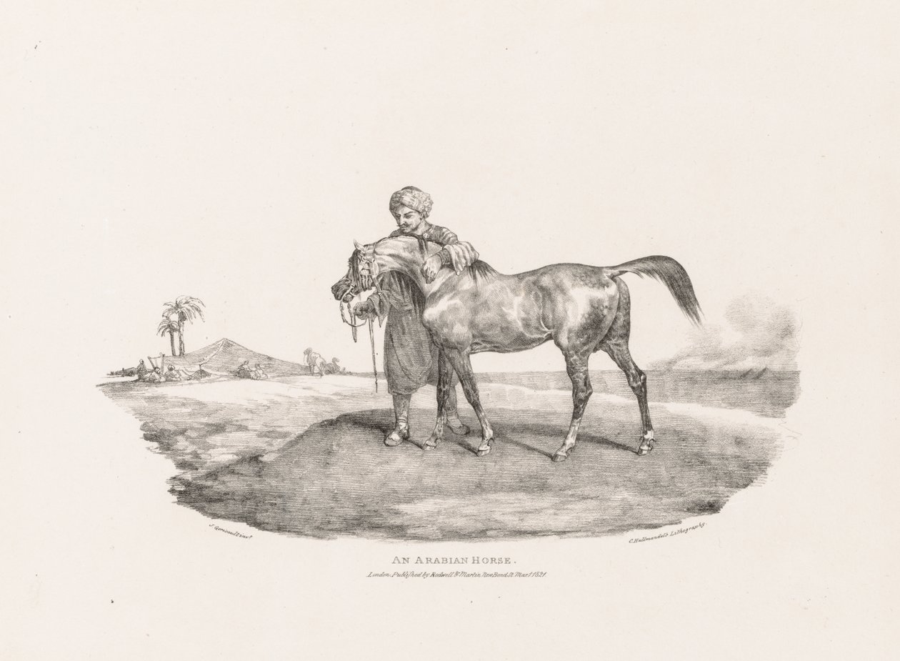 Ulike motiver tegnet etter naturen og på stein:  En arabisk hest av Theodore Gericault