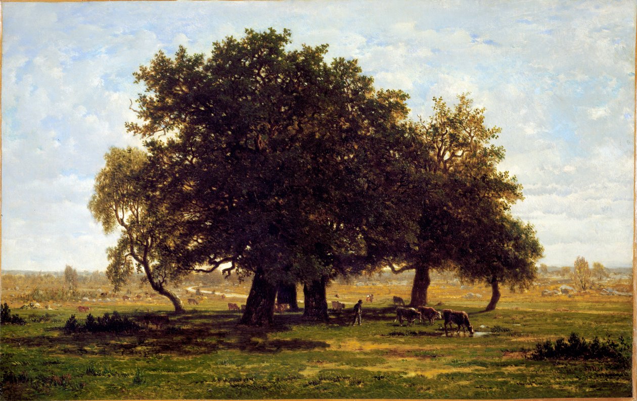 En gruppe eiketrær, Apremont (Olje på lerret av Pierre Etienne Theodore Rousseau