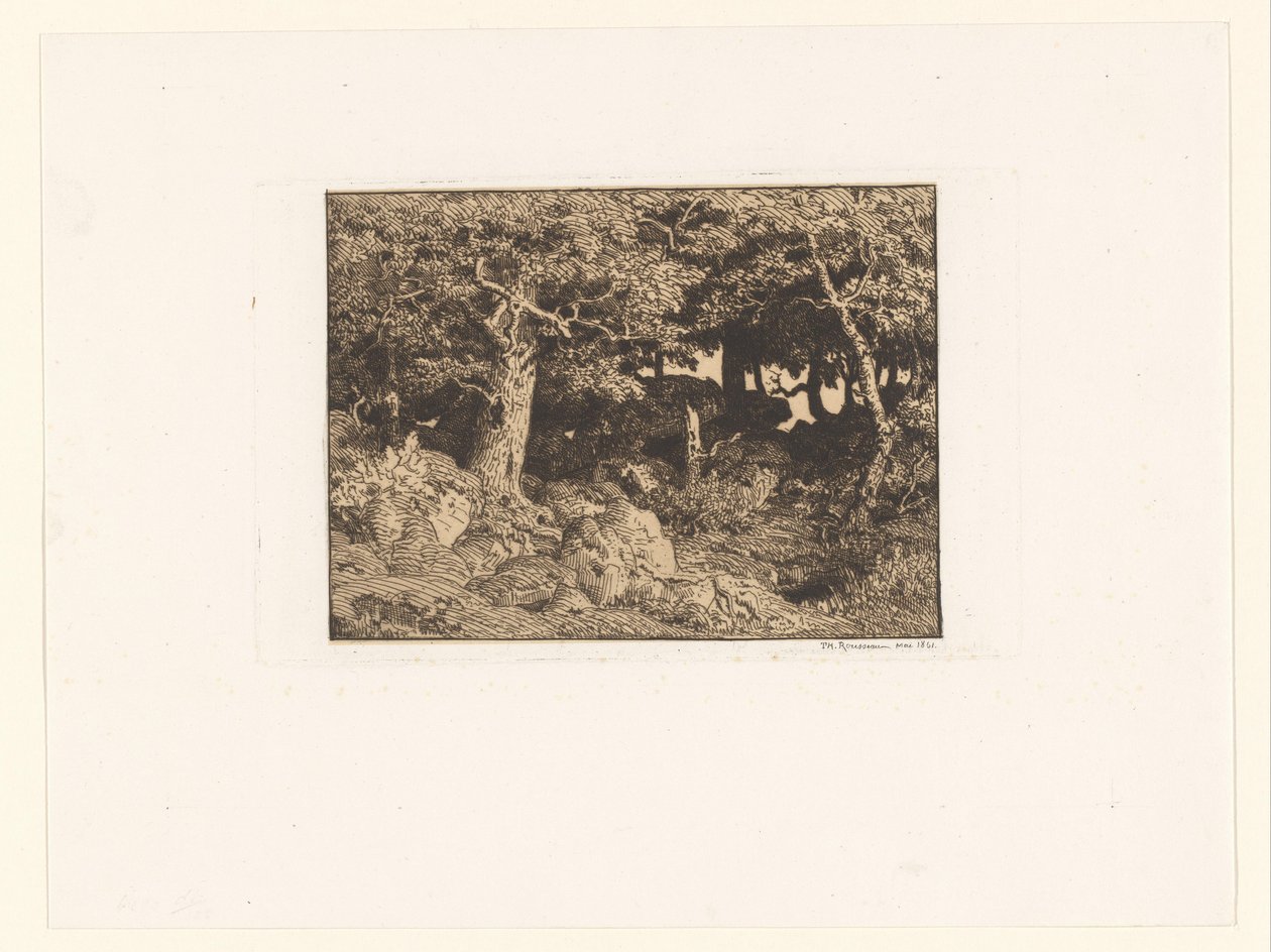 Eiketrær på steiner Chenes de Roche (original tittel) av Theodore Rousseau